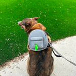 Backpack for Dog Harness