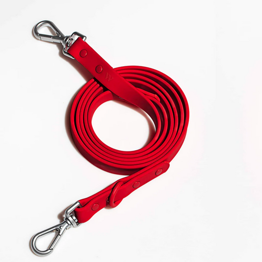 Premium Leash (RED)